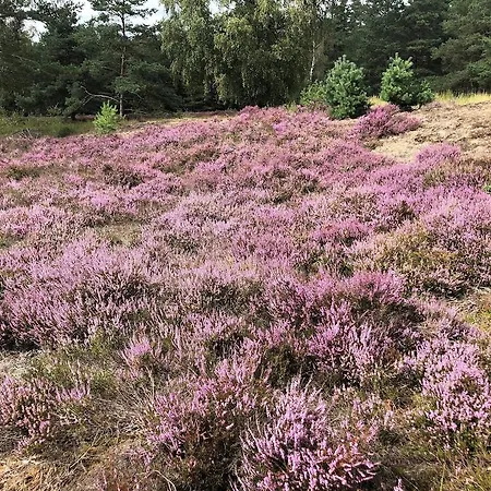 Hotel Sonnenhuegel 4*