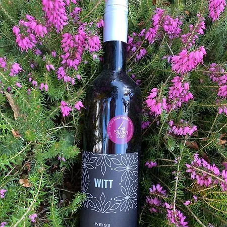 Sonnenhuegel باد بيفينسون