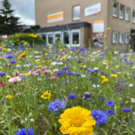 Sonnenhuegel 4* Bad Bevensen