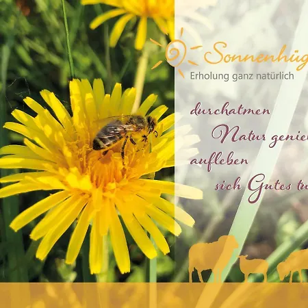 Hotel Sonnenhuegel 4*