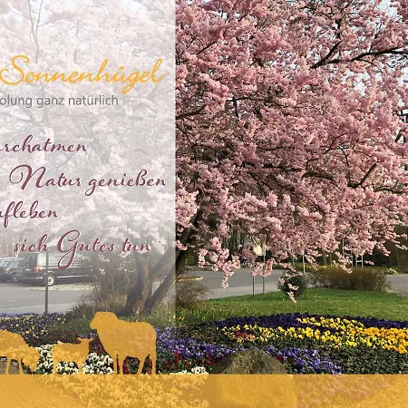 Hotel Sonnenhuegel 4*