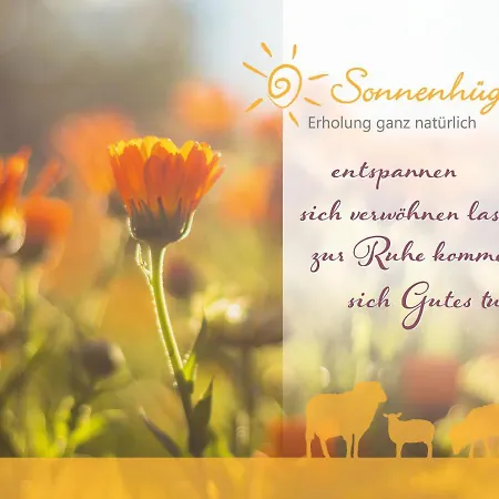 Sonnenhuegel מלון באד בוונסן
