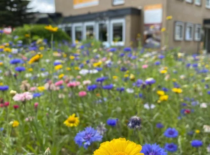 Sonnenhügel Hotel&restaurant 4* Bad Bevensen