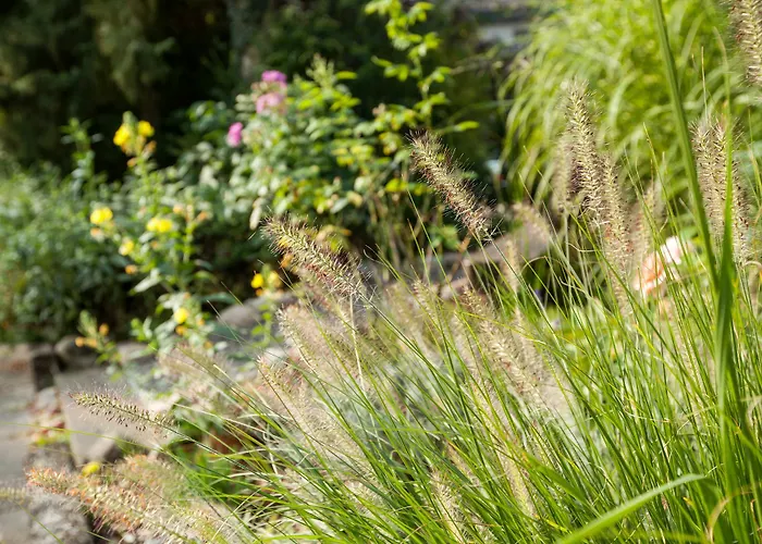 Sonnenhügel Hotel&restaurant 4*