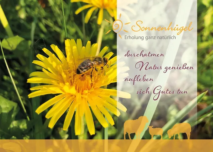 Hotel Sonnenhügel Hotel&restaurant 4*